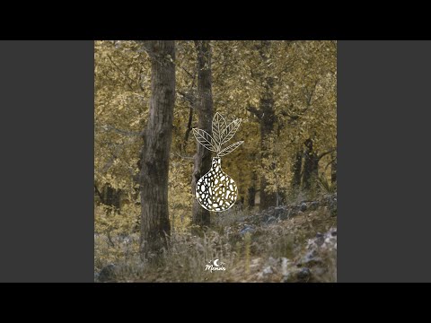 Video thumbnail for Fifteen Km