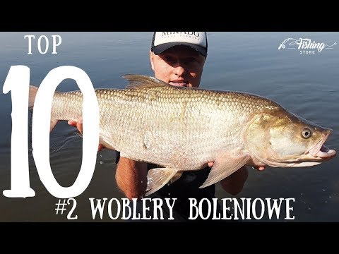 Jakie przynęty na bolenia? - TOP 10 woblerów boleniowych - WĘDKARSKA DYCHA