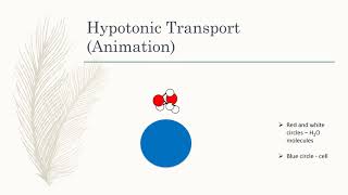 Cellular Transportation PowerPoint