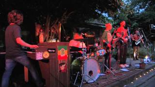 Rio Reiser Manager Reggae Fürlena