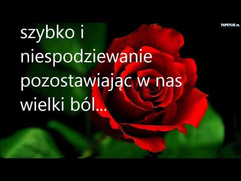 Ku pamięci Marcin Stefaniak...