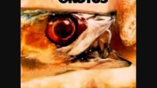 Grotus - Brown (original)