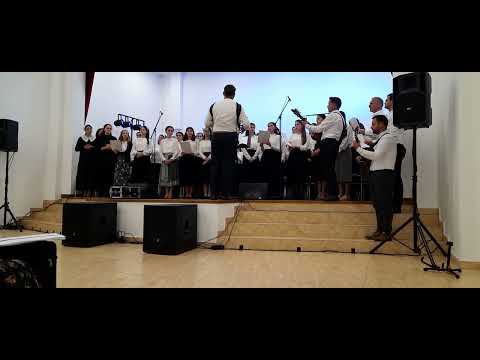 Grup coral Daia-Vicov - Alegerea ta