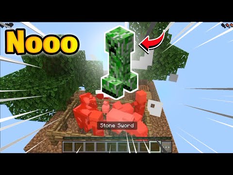 Unleashing Chaos: Minecraft One Block Part 1