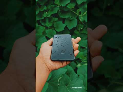 Mobile Photography | World Photography Day  | Nature Photography | Instagram Reels | REDMI |