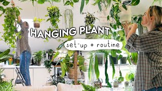 My Low-Light HANGING Plant Collection, Set Up + Watering Routine 💧