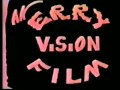 Erry Vision Logo