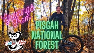 Dupont State Forest and Pisgah National Forest Are Worth A Visit!