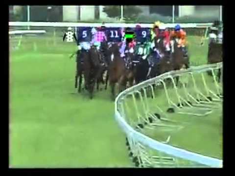 Course de reference - Roman Manner (2nd behind Castlethrope) - Racing Association