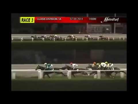 MMTCI 070914 R03 4 MS. BLING BLING (A)