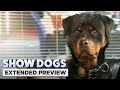 Show Dogs | 