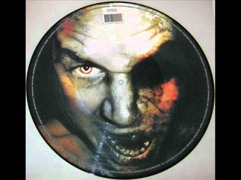 Noisekick - Arnica Montana