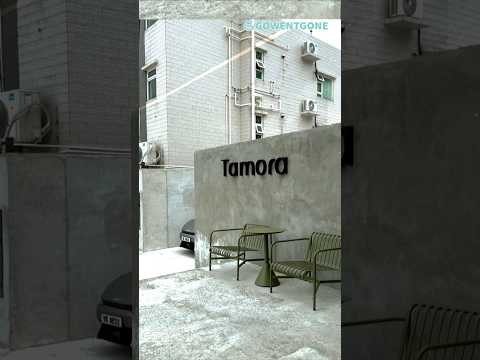 【大埔新去處】 水泥風格打卡咖啡館Tamora cafe｜寵物友善餐廳