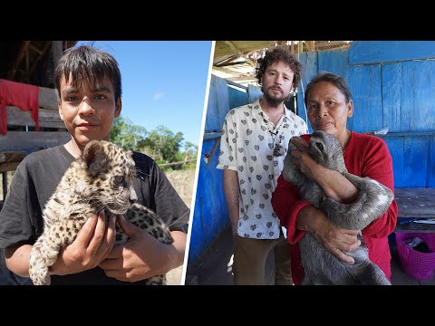 Las curiosas mascotas de la gente de la selva amazónica | ¿Cómo viven?