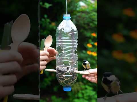 Genius Hack: DIY Bird Feeder From a Plastic Bottle! 🐦