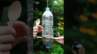 Genius Hack: DIY Bird Feeder From a Plastic Bottle! 🐦