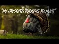 Beau Hunting There S No Place Like Home Oregon Mountain Turkeys