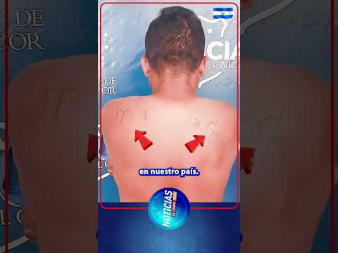 Capturan a peligroso pandillero que se escondía en San Francisco Gotera 🐀❌ Bukele lo manda al CECOT