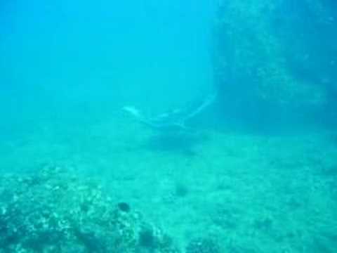 Hawaii Maui/Molokini