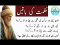 Motivational Quotes About Life Urdu Hikmat Ki Batain Rumi Quotes Urdu Best Urdu Quotes On Life