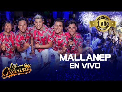 Homenaje Mallanep - Los Guevara Orquesta (En vivo - 1er Una Aventura Mas, Que Paso, Me Rio De Ti)