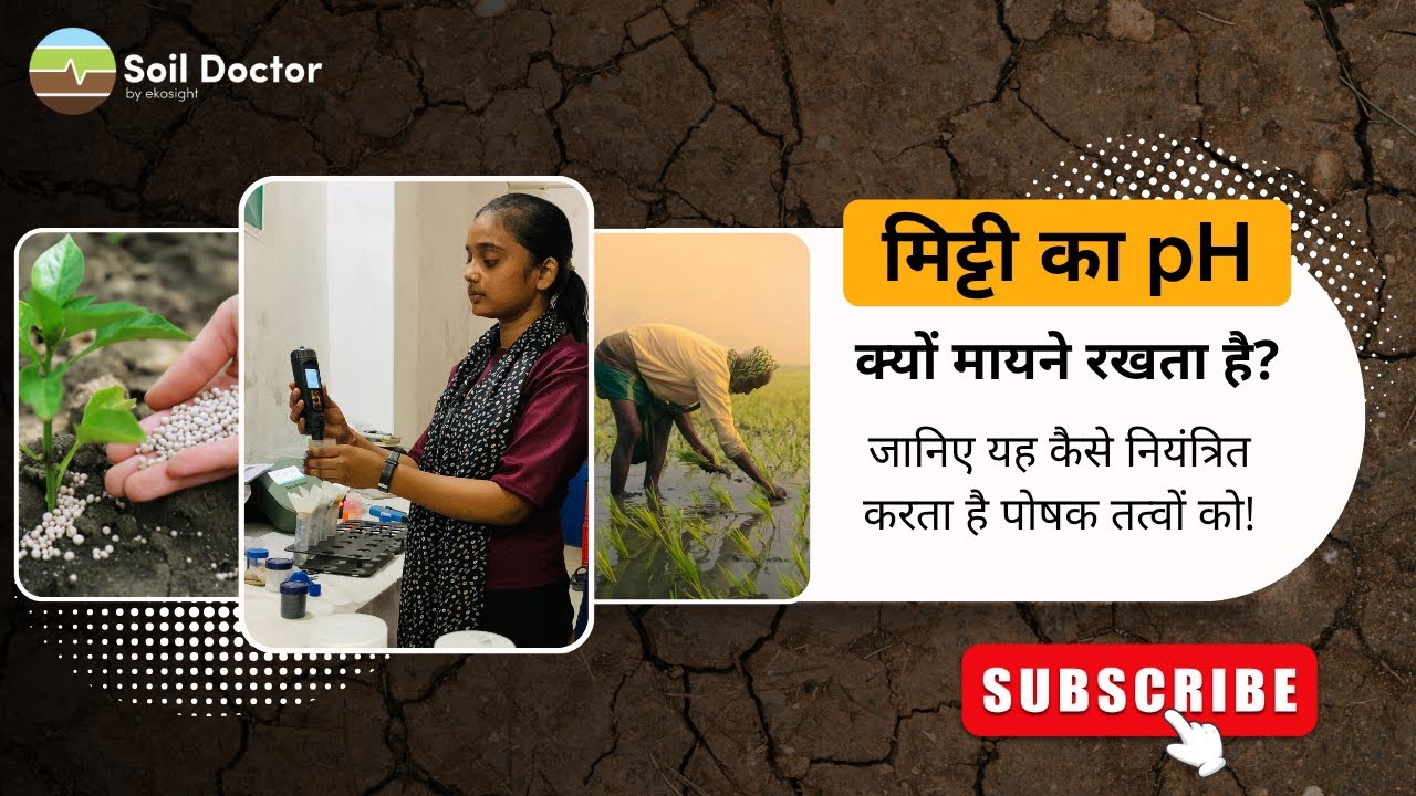 Understanding Soil pH