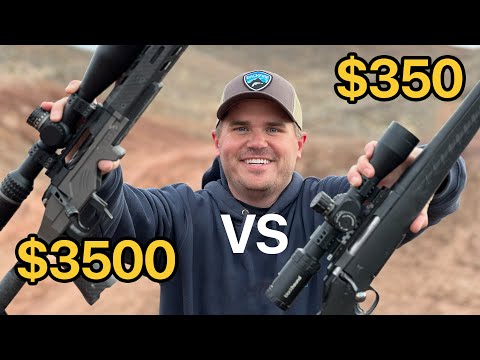 Cheap vs High-End Rifles: I'm surprised by how they compare.