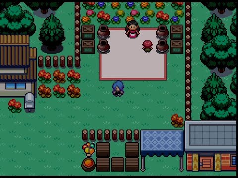 Pokemon Rejuvenation Lost Camp Quest v12 ( Finding all 9 Kids )