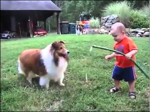 Baby and Dog play with Hose MP4 : Best Funny Video