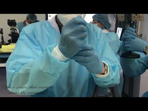 Tan, Lizzly Marie | 4JG2 | semenálise