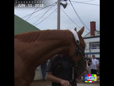 From the Archives: Triple Crown Winner Justify