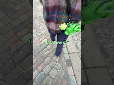 Mest tålmodige menneske😂