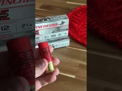 Long Range Shotgun Test! 12 Gauge BB - Hornady Heavy Magnum Coyote