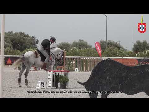 210814 CNET Manhã Maneabilidade