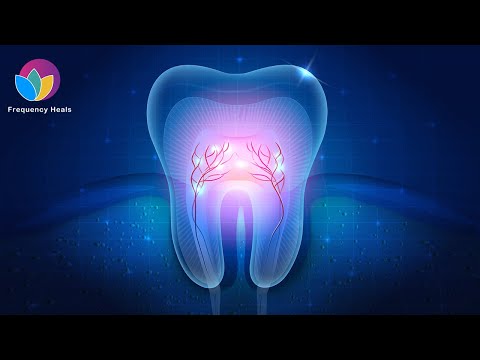 ENDODONTICS Made EASY? 😱 | Rife Frequency to Heal Tooth Pulps & Restore Your Dental Nerves