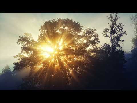 Anja Lehmann  - 14 lieder -  Eschua