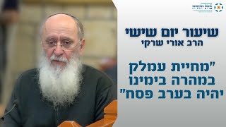 מחיית עמלק במהרה בימינו יהיה בערב פסח