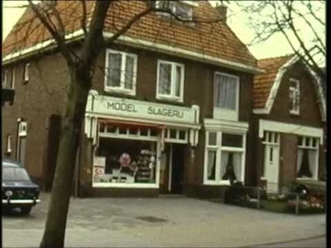 vogelenzang in vogelvlucht