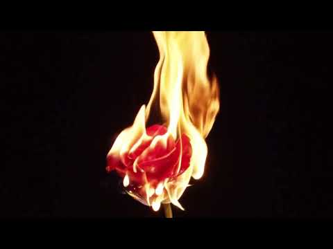 La'Toni Music Video