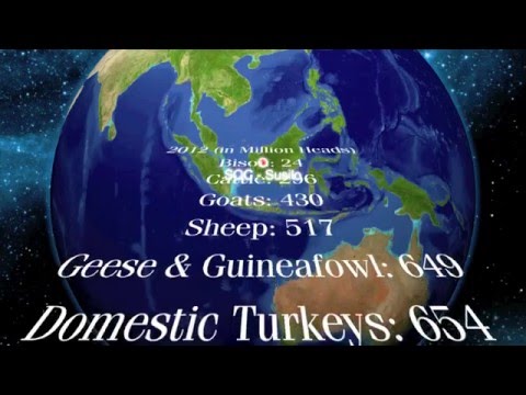 Voodoopriester - Pain & Agony (Original Mix) Video HD