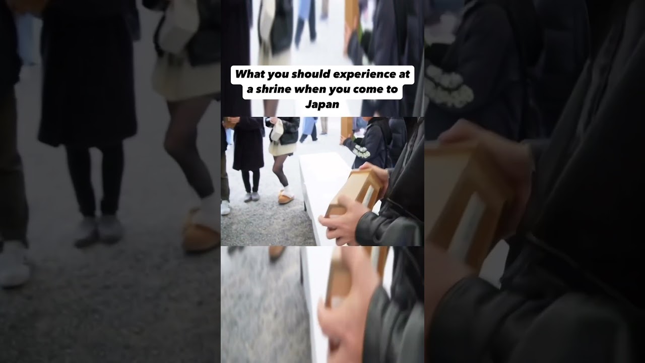 What you should experience at a shrine when you come to Japan⛩️ #college #japan #chill #vlog