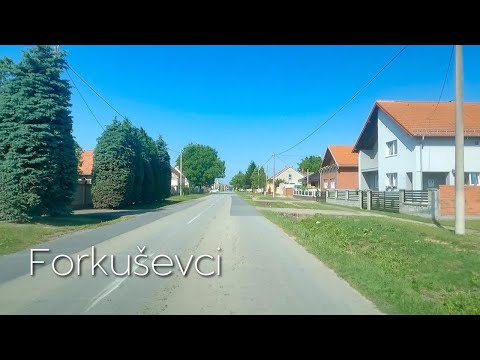 Driving in Croatia - Forkuševci | Slavonia Road Trip (June 4, 2023)