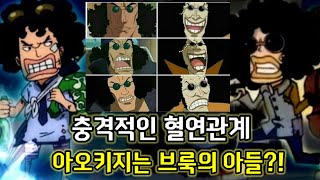 [원피스 분석]충격적인 혈연관계 아오키지는 브룩의 아들?!