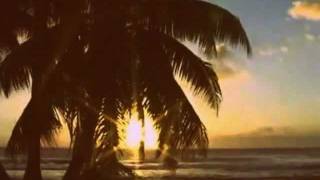 Monster Rally - Jungle Lights (VIP Music Video)