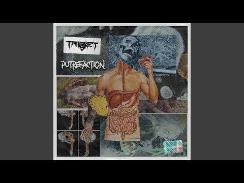 Putrefaction