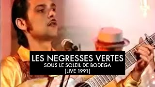 Les Négresses Vertes - Sous Le Soleil De Bodega - 13-04-1991 - Les Nuls L&#39;Emission (C+)