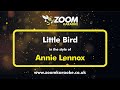 Annie Lennox - Little Bird - Karaoke Version from Zoom Karaoke