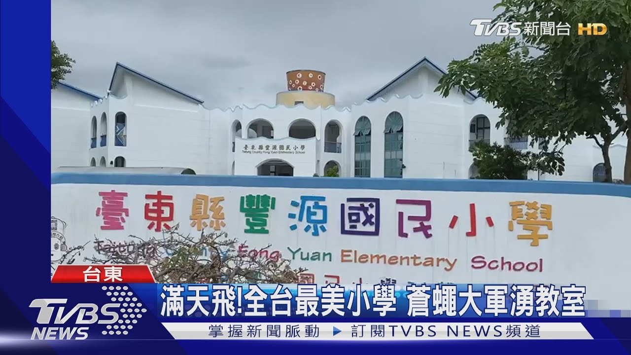 滿天飛!全台最美小學 蒼蠅大軍湧教室