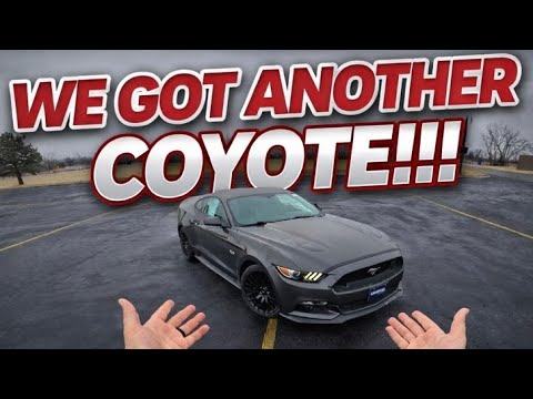 WE GOT ANOTHER MUSTANG FOR THE CHANNEL! (2016 FORD MUSTANG GT) 