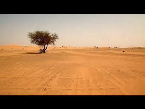 Desert Documentary HD - The Last Killer Tigers